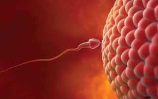 Какие гормоны влияют на зачатие: анализы, исследования