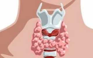 Гипоплазия щитовидной железы левой доли: причины, симптомы и лечение