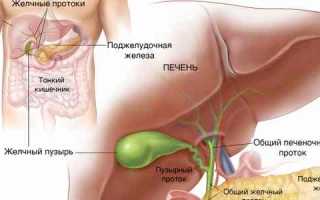 Киста в желчном пузыре на УЗИ: причины возникновения, как проявляется и лечится