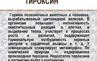 L-Тироксин: инструкция по применению, цена, отзывы, побочные действия