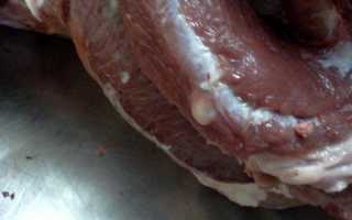 Чем можно заразиться от сырого мяса? Паразиты в свинине