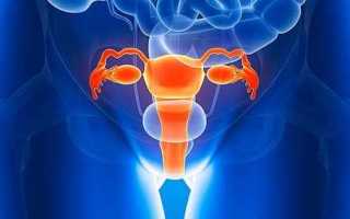 Эндометриоидные кисты на УЗИ: что это, причины возникновения и признаки