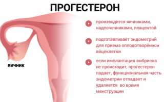 Какова норма прогестерона у женщин при беременности. Как влияет прогестерон при беременности