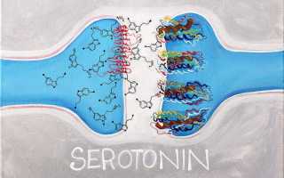 Серотонин: что это за гормон, его функции и способы повышения