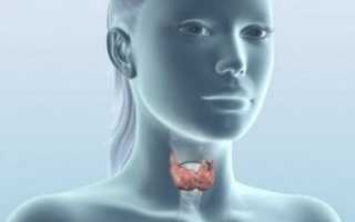Киста щитовидной железы на УЗИ: факторы и причины, как выглядит, методы лечения