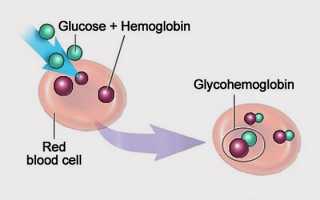 Гликированный гемоглобин: норма по возрату, что показывает анализ и причины отклонений