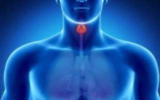 Об эутиреоидном зобе щитовидной железы