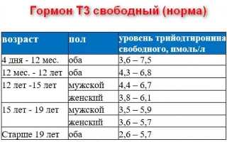 Норма и причины отклонения от нормы тиреоидного гормона Т3 свободного